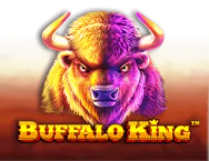 Buffalo King Demo
