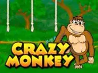 crazy monkey